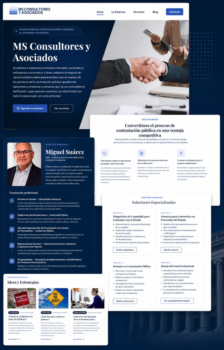 Web de MS Consultores